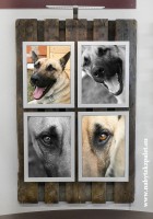 Plachta s rámečky (80x120cm)